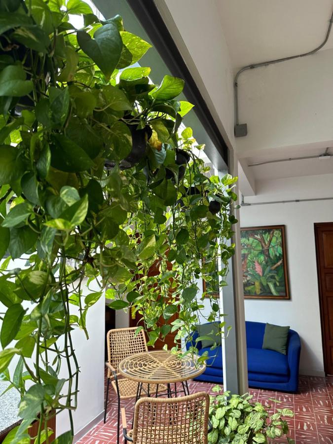 Hotel Boutique Casa Degollado コリマ エクステリア 写真