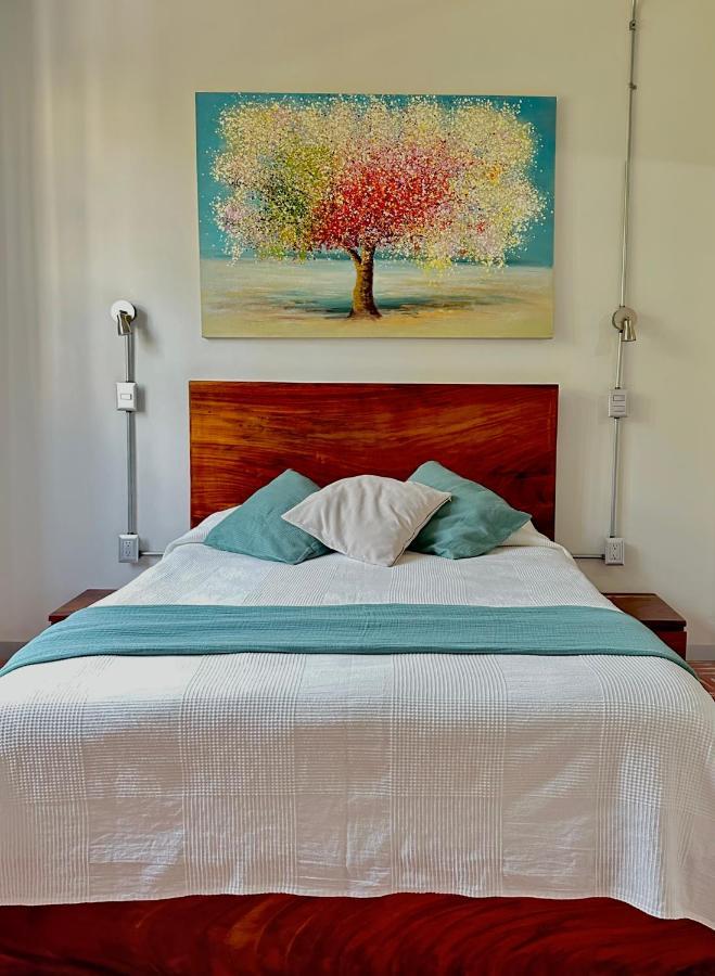 Hotel Boutique Casa Degollado コリマ エクステリア 写真